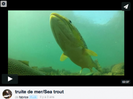 Capture d e cran 2016 02 21 a 10 39 31
